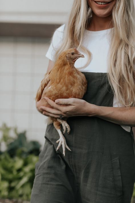 Chicken Update — Catrina Sivula Blog Photoshoot With Goats, Photoshoot With Chickens, Chicken Photoshoot, Chicken Photography, Hillside Farms, October Pictures, Farm Photoshoot, Farm Quotes, Farm Aesthetic