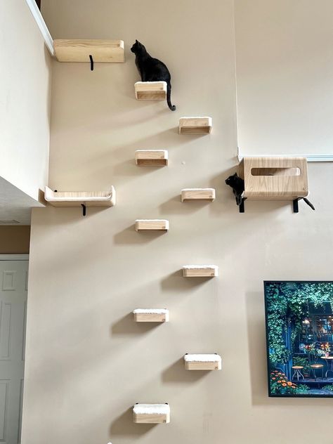 This Play Furniture item by TheNamu has 1504 favorites from Etsy shoppers. Ships from Auburn, GA. Listed on Sep 8, 2024 Cat Wall Shelves Corner, Climbing Cat Wall, Cat Floating Shelves, Cat Runs Indoor, Cat Ledges Indoor, Cat Friendly Furniture, Cat Steps On Wall, Cat Shelf Diy, Cat Play Wall