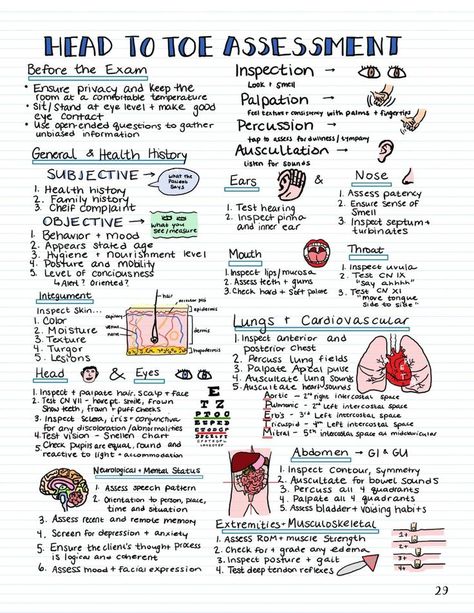 Nurse Mnemonics, Nursing School Studying Cheat Sheets, Nursing School Life, Nursing Study Tips, Medical Assistant Student, Nursing School Inspiration, Nursing School Essential, Nurse Study, Nursing Study Guide