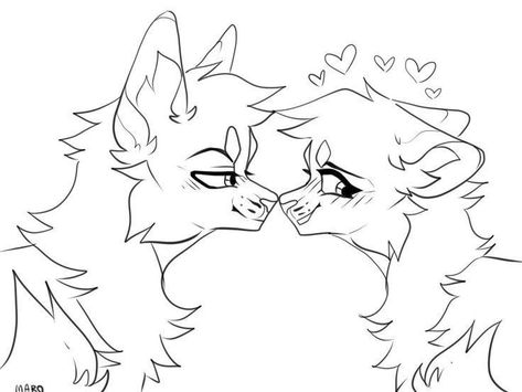 Cat Couple Sketch, Warrior Cat Couple Base, Warrior Cats Oc Design Base, Free Cat Base, Cat Bases F2u, F2u Warrior Cat Base, Cat Base Drawing, Cat Couple Drawing, Warrior Cats Oc Base