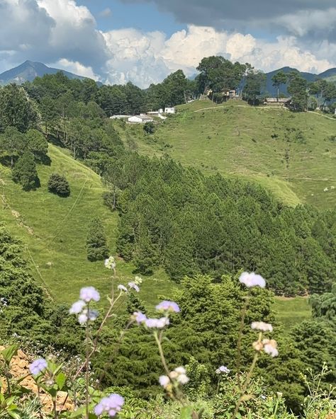 ⛰️🧚🏼 . . . . . . . #mountains #uttarakhand #uttarakhandheaven #uttarakhandhills #pithoragarh #pithoragarhtourism #mountainlife #hillsofindia #hillsofuttarakhand #mountainaesthetic #pahad #slowliving #slowlife #quietlife Mountain Aesthetic, Mountain Life, Slow Life, Slow Living