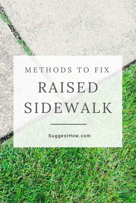 How to Fix Raised Sidewalk Sidewalk Edging, Sidewalk Repair, Sidewalk Landscaping, Concrete Repair Products, Concrete Curbing, Curb Appeal Landscape, Front Steps, Making Space, Tree Roots