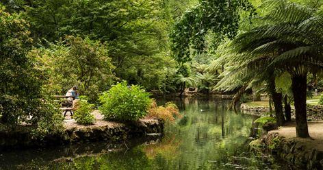 Trust us. The Dandenong Ranges are about MUCH more than laced doyleys, monstrous tourist buses and scones jam & cream. Yarra Valley, Secret Gardens, Colorful Plants, Road Trip Fun, Gorgeous Gardens, Old Building, The Trip, Heaven On Earth, Planet Earth