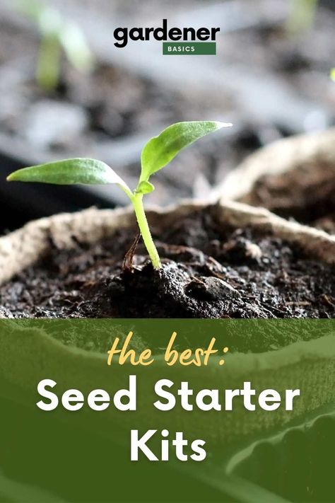 Garden Design Vegetable, Seed Starters, Garden Tips And Tricks, Seed Starter Kit, Craft Hobbies, Plants Landscape, Gardening Backyard, Seed Starter, Herb Gardens