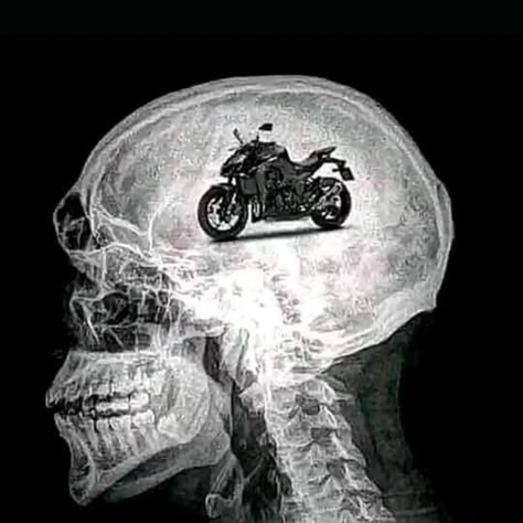 Rider's 🧠  📲 Follow @motosvibes for more updates 🎬  #kawasaki #cbr #speed #reels #trending #motorcycle #bikes #vibes #riders  #brain #z1000official #kawaii #fyp  Credits @motosvibes Sport Bike Rider, Ninja Bike, Bike Icon, Z 1000, Biker Photoshoot, Bike Jacket, Yamaha Bikes, Motorcycle Aesthetic, Biker Aesthetic