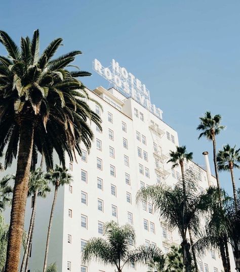 📸 - @thehollywoodroosevelt⁠ ⁠ #SunsetStudios #SisterJane Roosevelt Hotel, Los Angeles Hotels, California Dreaming, California Style, Aesthetic Collage, Palm Trees, Places To Travel, Trees, Angeles