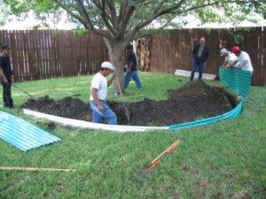 Root barriers go in Root Barrier, Houston Garden, Concrete Slab, Yard Ideas, Outdoor Projects, Garden Center, Landscaping Ideas, Walkway, Garden Hose