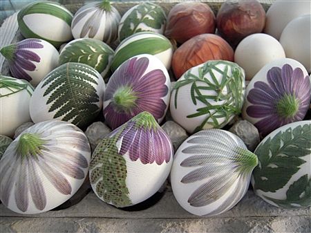 Natural Easter Eggs, Unique Easter Eggs, Naturally Dyed Easter Eggs, Egg Ideas, Painted Eggs, Egg Dye, Easter Egg Dye, Unique Easter, Easter Inspiration