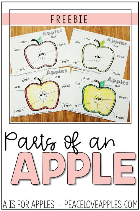 Parts Of An Apple Preschool Free Printable, Parts Of An Apple Free Printable, Parts Of An Apple, Apple Printable, Preschool Apple Activities, Preschool Apple Theme, Apple Life Cycle, Apple Preschool, Apple Unit