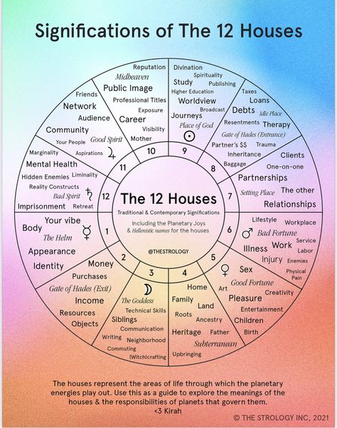 sarah ♡ on Twitter: "I have my venus in aries, in my 5H (yes I am sexy thank u for asking) here’s the significance of the houses, to see what part of life may be impacted for you with this transit! 🌷… https://t.co/KQaYDWRuCV" Astrological Houses, Astrology Charts, Astrology Houses, Astrology Meaning, Chart Astrology, Zodiac Cards, Bad Spirits, Astrology Planets, Spiritual Journals