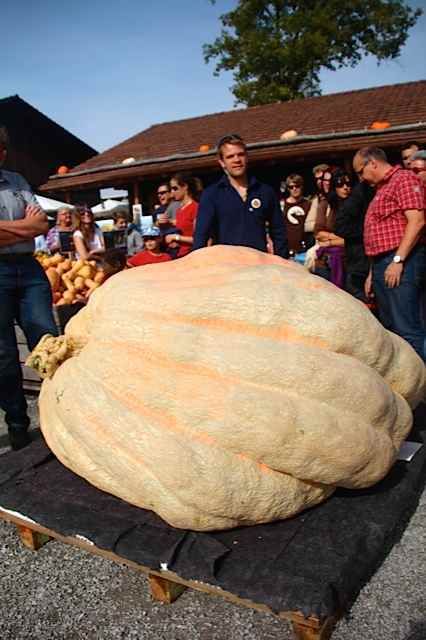 Pumpkin World, Biggest Pumpkin, Large Pumpkins, Pumpkin Contest, Giant Pumpkin, World Hunger, Seed Packaging, Guinness World Records, Food Supply