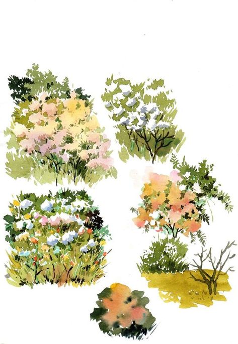 Flowers watercolor Nature Sketch, Concept Art Tutorial, Watercolor Painting Techniques, Flowers Watercolor, Watercolor Landscape Paintings, 수채화 그림, Watercolor Art Lessons, Watercolor Trees, Tree Drawing