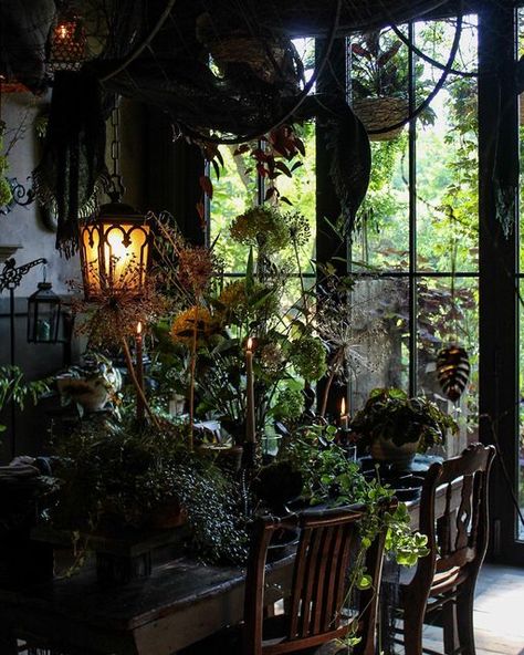 Dark Maximalism, Beautiful Shops, Rustic Luxe, Welcome Table, Dark House, Bohemian House, House Blend, Indoor Jungle, Witch House