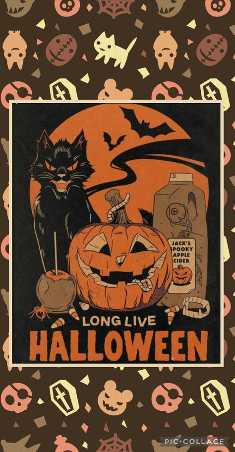 Fall Phone Wallpaper, Pumpkins, Black Cat, Phone Wallpaper, Bar, Halloween, Black