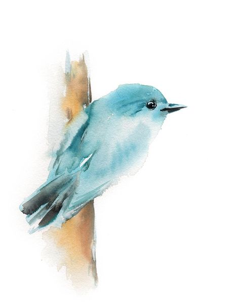 Bird Watercolor Paintings, Bird Watercolor, Bird Art Print, Bird Wall Art, Watercolor Inspiration, Bird Drawings, Watercolor Bird, Paintings Art Prints, Watercolor Animals