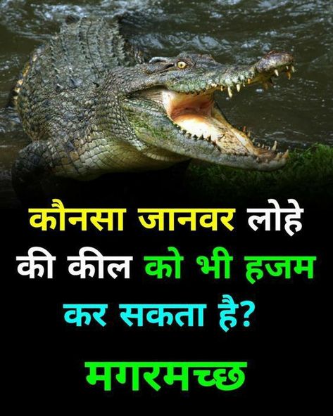 Amazing Fact In Hindi, New Amazing Facts In Hindi, Fact Hindi, Upsc Study, Fun Facts About Earth, Science Facts Mind Blown, About Study, General Studies, Youtube Facts