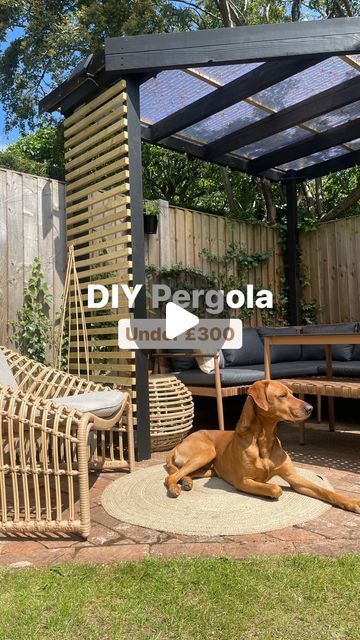 Garden Shade Ideas Diy, Small Yard Pergola Ideas, Decorate Pergola Ideas, Paragola Ideas, Diy Shade Outdoor, Easy Diy Pergola Cheap, Budget Pergola, Pergola Roof Ideas, Backyard Pergola Ideas