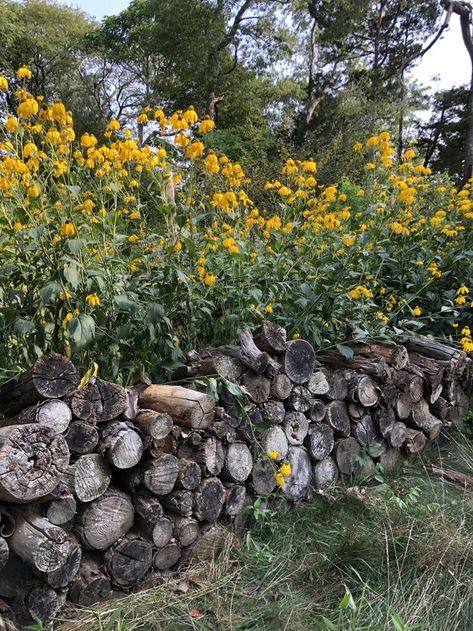 Habitat Piles: How to Turn Garden Debris Into Shelter and Sculpture Log Piles Garden, Stumpery Garden Ideas, Small Natural Garden Ideas, Abundant Garden, Small Mammals, Natural Fence, Garden Border, Outdoor Shelters, Gothic Garden