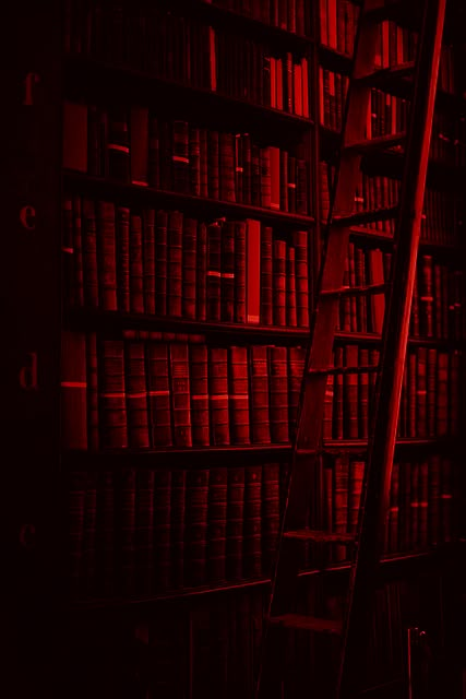 Aesthetic Red And Black Wallpaper, Aesthetic Red And Black, Red Bookshelf, Red Is My Favorite Color, Red Aesthetic Grunge, Red And Black Wallpaper, Dark Red Wallpaper, I See Red, Red Pictures