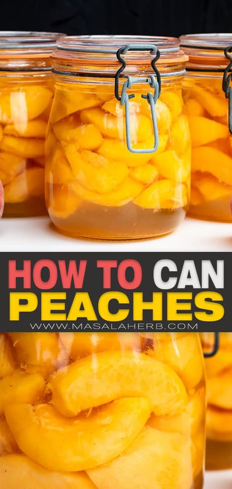 French recipe for homemade canned peaches. Great for beginners who want to learn water bath canning. Preserving Fresh Peaches, Canning Fresh Peaches, How To Can Peaches Easy, What To Do With Lots Of Peaches, Canning Peaches For Beginners, Canned Peach Recipes, Canned Peaches Recipes, Canning Peaches Recipes, Canning Peach Pie Filling