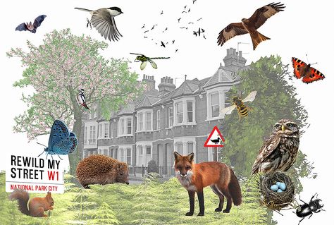 Transforming London's Streets for Wildlife | Rewild My Street London Metropolitan University, Going Grey, Floor Murals, Streets Of London, Urban Nature, Green Architecture, Green City, Research Methods, Green Park