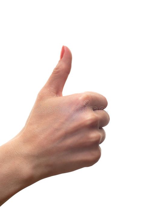 Thumbs Up Drawing Reference, Thumbs Up Pose Reference, Thumbs Up Reference, Thumbs Up Hand Reference, Thumbs Up Pose, Two Thumbs Up, Thumbs Up And Down, Thumbs Up Illustration, Thumbs Up Drawing