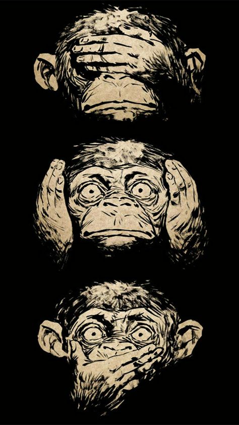 Three Monkeys, Wise Monkeys, Monkeys, Wallpapers, Design