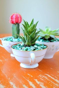 Whimsical Teacup Suc Teacup Gardens, Cactus Decor, Cactus Y Suculentas, Cactus Garden, Garden Stuff, Succulents Diy, Summer Diy, Cactus Flower, Mini Garden