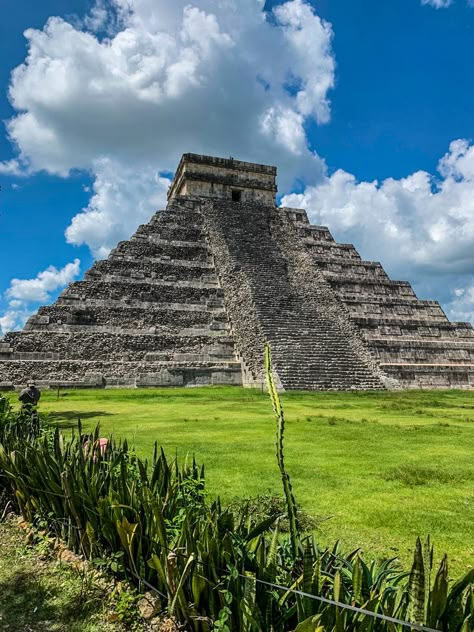 #chichenitza #mexico #yucatan #travel #cancun #tulum #rivieramaya #maya #playadelcarmen #n #travelphotography #visitmexico #cenote #islamujeres #xcaret #quintanaroo #cenotes #trip #mayanruins #cozumel #holbox #travelgram #chichenitz #caribe #mayan #xico #photography #mayas #yucatanmexico #bacalar Cancun Mexico Photography, Mexico Jungle, Yucatan Travel, Cenotes Yucatan, Travel Cancun, Costa Maya Mexico, Xcaret Mexico, Mexico Tourism, Cancun Tulum