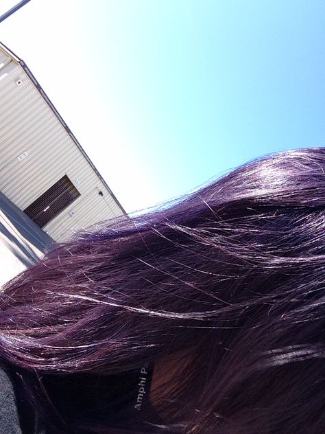 Purple desire by Splat on unbleached dark hair Dark Purple Tinted Hair, Unbleached Hair Color, Dark Purple Hair No Bleach, No Bleach Purple Hair, Purple Black Hair Color, Purple Dark Hair, Purple Skunk Hair, Dark Lavender Hair, Subtle Purple Hair