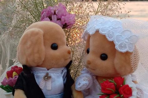 Calico Critters Wedding, Aesthetic Sylvanian Families, Wedding Calico Critters, Sylvanian Family Icon, Sylvanian Families Photography, Calico Critters Families, Sonny Angel, Sylvanian Families, Little Critter