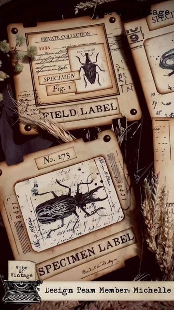 Tim Holtz Entomology, Tim Holtz Specimen, Specimen Slides, Specimen Cards, Tim Holtz Crafts, Journal Elements, Collage Book, Mixed Media Art Canvas, Vintage Junk Journal