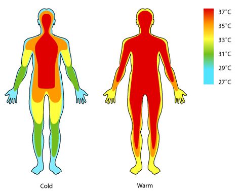 Razor Burn Remedies, Human Body Temperature, Low Estrogen Symptoms, Too Much Estrogen, Low Estrogen, Heat Map, Estrogen Dominance, Heat Therapy, People Struggle