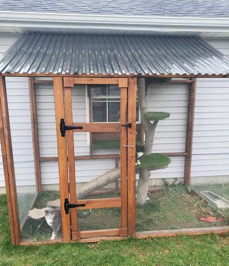 30 Free DIY Catio Plans (DIY Outdoor Cat Enclosure) Cat Enclosures Side Of House, Catio Plans Pallet, Cattery Ideas Cat Room Outdoor, Cat Outside Enclosure, Outdoor Cat Kennel, Outside Cat Enclosure, Catio Plans, Diy Cat Enclosure, Cat Patio