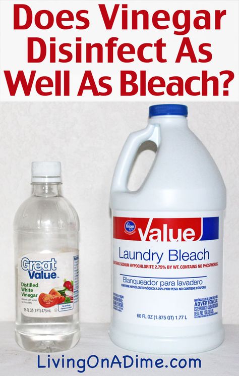 Does Vinegar Disinfect As Well As Bleach? And How to use bleach Living On A Dime, Clean Baking Pans, Cleaner Recipes, Vinegar Cleaning, Homemade Cleaning Products, Distilled White Vinegar, Cleaning Recipes, Mold Remover, Cleaners Homemade