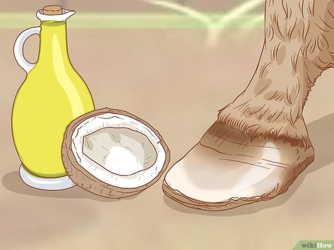 How to Make Hoof Oil (with Pictures) - wikiHow Diy Hoof Oil, Stable Management, Horse Hooves, Horses Stuff, Horse Nutrition, Barn Hacks, Horsey Life, Horse Hoof, Horse Products