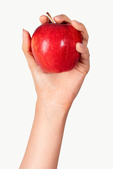 Red Apple Photography, Apple In Hand, Potato Photography, High Key Photo, Apple Photography, Lime Drinks, Apples Photography, Apricot Fruit, Bartlett Pears