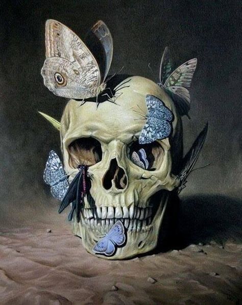 Vanitas skull by Chris Jones Art Noir, A Skull, The Skull, Skull And Bones, Memento Mori, Skull Art, Dark Art, Sugar Skull, Diamond Painting