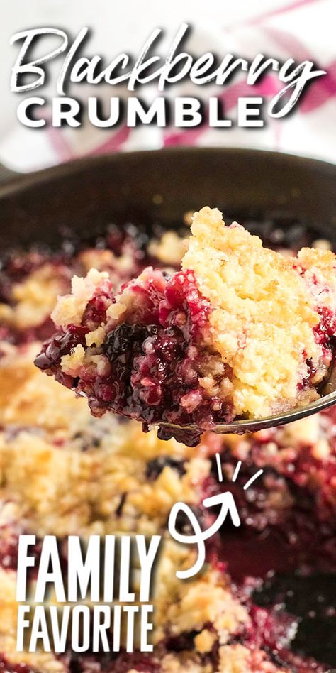 Easy Blackberry Crumble, Blackberry Crumble Recipe, Persnickety Plates, Blackberry Dessert, Blackberry Cobbler Recipe, Cobbler Recipes Easy, Blackberry Crumble, Blackberry Recipes, Berry Crumble