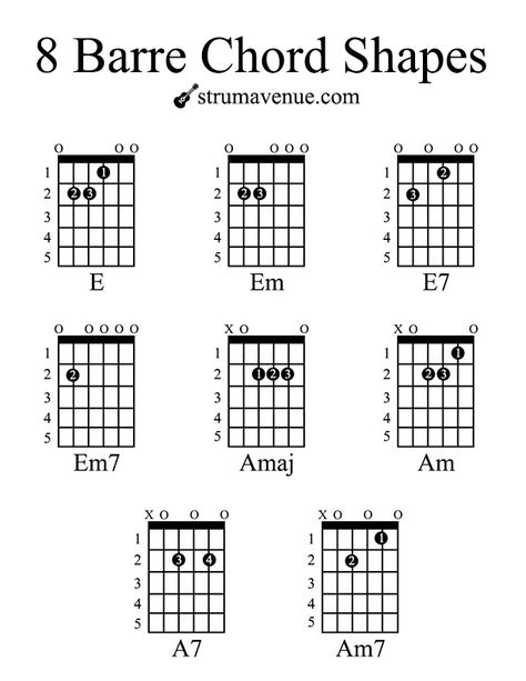 Basic Guitar Chords Chart, Guitar Basics, Barre Chords, Learn Acoustic Guitar, Chords Guitar, Guitar Songs For Beginners, Guitar Cord, Guitar Chord Chart, Guitar Practice