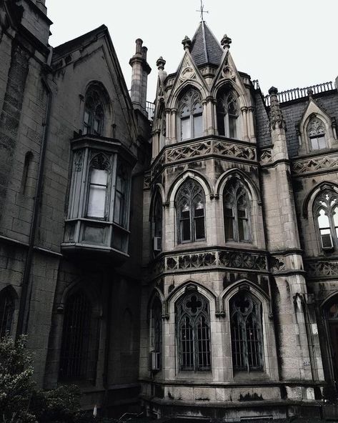 Gothic Academia, Darkest Academia, Dark Acadamia, Vietnam Voyage, Victorian Aesthetic, Royal Aesthetic, Hogwarts Aesthetic, Slytherin Aesthetic, Vampire Knight