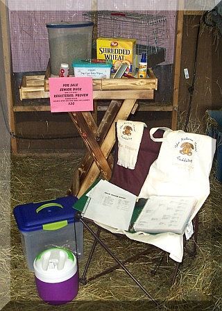 Things to do at a Rabbit Show Before Judging Begins 4h Rabbit Project, Rabbit Show Table, Rabbit Grooming Table, Rabbit Business, Rabbit Showing, Rabbit Tips, Rabbit Information, Raising Rabbits For Meat, Show Rabbits