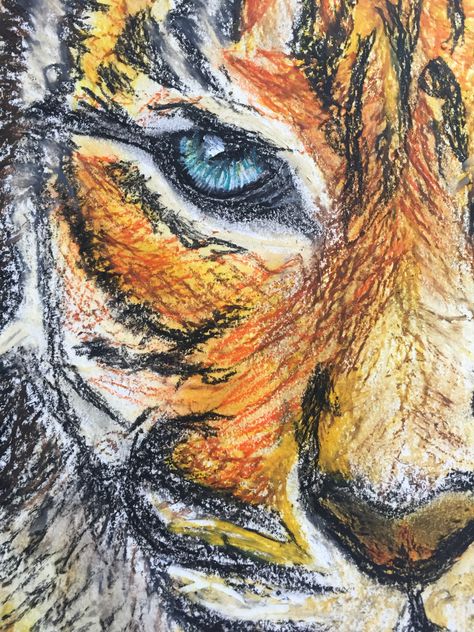 #oilpastel #original #drawing #animals #tiger #tigerart #blending #shading Oil Pastel Animals, Pastel Animals, Farm Animal Painting, Meaningful Artwork, Kitten Drawing, Abstract Animal Art, Paintings Watercolor, Oil Pastel Art, Oil Pastel Drawings