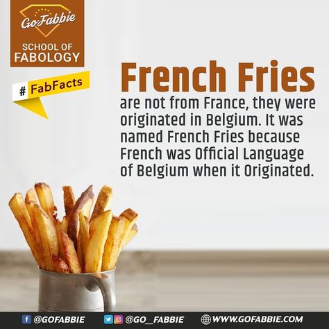 French Fries are not from France, they were originated in Belgium. It was named French Fries because French was Official Language of Belgium when it Originated.  #gofabbie #fabology #fabfacts #interestingfacts #funfacts #knowledge #trivia #amazingfacts #didyouknow #schooloffabology #frenchfries #france #belgium Belgium Fries, French Fry, Food Drinks, French Fries, Indian Food, Trivia, Indian Food Recipes, Healthy Food, Belgium