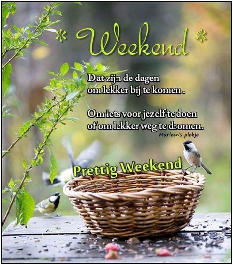 Weekend Blessings, Weekend Quotes, Weekend Humor, Happy Weekend, Good Morning, Humor, Humour