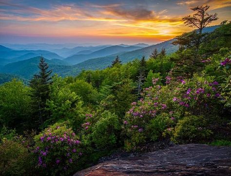 Blue Ridge Parkway, South of Asheville Blue Ridge Mountains Aesthetic, Blue Ridge Parkway Asheville, Sunrise Blue Ridge Mountains, Blue Ridge Parkway North Carolina, Blue Ridge Mountain Parkway, Blue Ridge Parkway, Gatlinburg, Great Smoky Mountains, Smoky Mountains