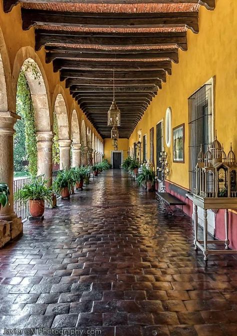 Style Hacienda, Mexican Style Homes, Patterned Concrete, Hacienda Homes, Spanish Style Architecture, Mexican Hacienda, Hacienda Style Homes, Mexico House, Bohemian Life