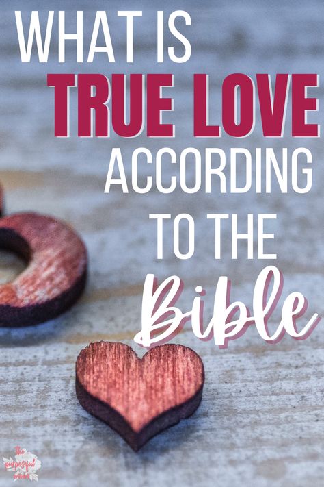 Definition Of Love Bible, What Is True Love Definitions, The Meaning Of Love, What Is Love Quotes Definitions, Bible Study About Love, Gods Love Quotes Encouragement, What Is Love Bible, Bible Love Verses, Biblical Love