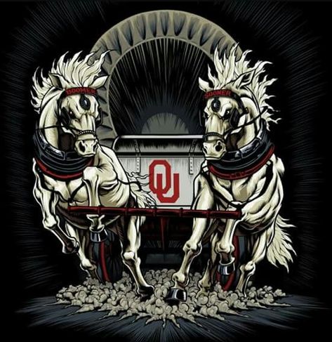 Sooner Schooner, Oklahoma University Football, Mouse Skull, Ou Sooners Football, Sooner Football, Football Tattoo, Skull Color, Oklahoma Sooners Football, Graffiti Graphic