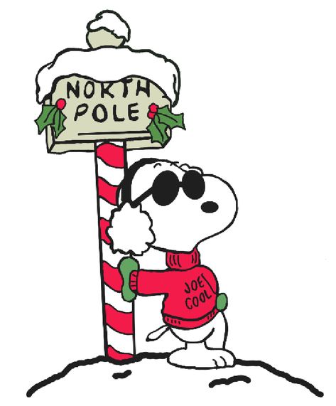 Joe Cool Snoopy Christmas, Snoopy Christmas Pictures, Snoopy Christmas Drawing, Winter Snoopy, Snoopy Xmas, Christmas Snoopy, Christmas Clock, Christmas Yard Art, Snoopy Images